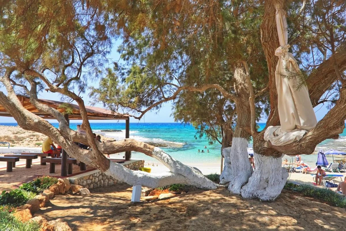 Beachfront Luxury Villa Idania Ayia Napa Esterno foto
